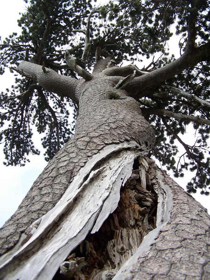 فيدجانيلو Tana Libera Tutti 1 Nature, Yourself, Love المظهر الخارجي الصورة