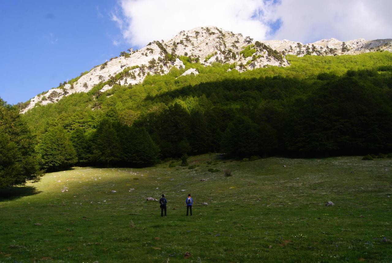 فيدجانيلو Tana Libera Tutti 1 Nature, Yourself, Love المظهر الخارجي الصورة